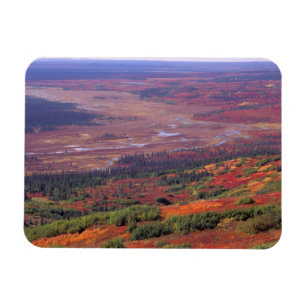 NA, USA, Alaska, Denali NP, View of McKinley Magnet