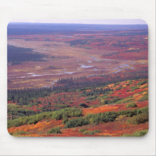 NA, USA, Alaska, Denali NP, View of McKinley Mouse Pad