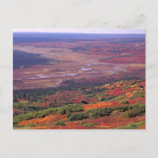 NA, USA, Alaska, Denali NP, View of McKinley Postcard (Front)