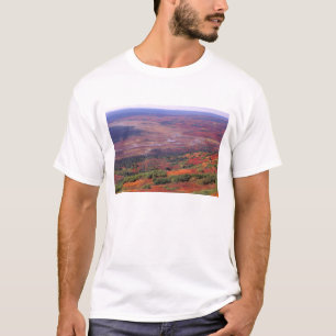 NA, USA, Alaska, Denali NP, View of McKinley T-Shirt