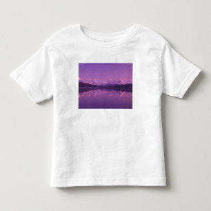 NA, USA, Alaska, Denali NP, Wonder Lake, Evening Toddler T-Shirt
