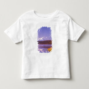NA, USA, Alaska, Denali NP, Wonder Lake, Mt. Toddler T-Shirt