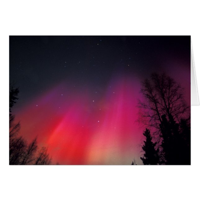 NA, USA, Alaska, Fairbanks, Curtains of pink and (Front Horizontal)