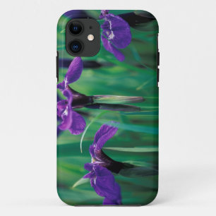 NA, USA, Alaska, Knight Island, Wild iris iPhone 11 Case