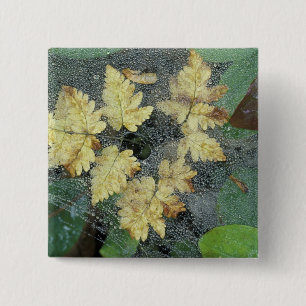 NA, USA, Alaska, Nancy Lake. Dew on spiderweb 15 Cm Square Badge