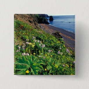 NA, USA, Alaska, Semidi Islands, Wildflowers 15 Cm Square Badge