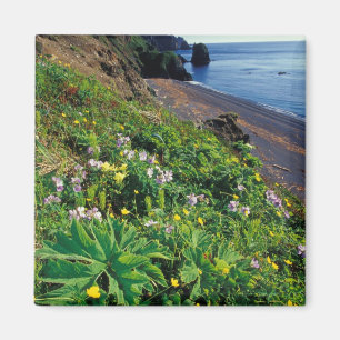 NA, USA, Alaska, Semidi Islands, Wildflowers Magnet