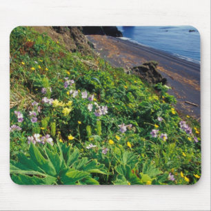NA, USA, Alaska, Semidi Islands, Wildflowers Mouse Pad