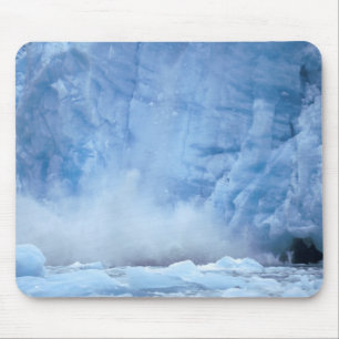 NA, USA, Alaska, Southeast Alaska, Tracy Arm, Mouse Pad