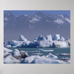 NA, USA, Alaska, St. Elias Range, Alsek River, Poster