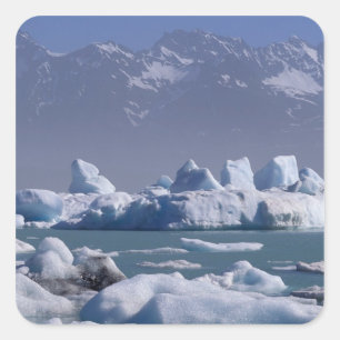 NA, USA, Alaska, St. Elias Range, Alsek River, Square Sticker