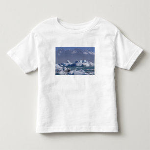 NA, USA, Alaska, St. Elias Range, Alsek River, Toddler T-Shirt