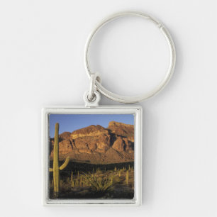 NA, USA, Arizona. Organ Pipe Cactus National 2 Key Ring