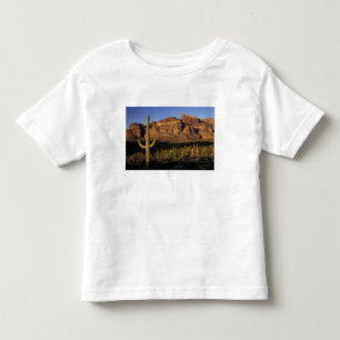 NA, USA, Arizona. Organ Pipe Cactus National 2 Toddler T-Shirt