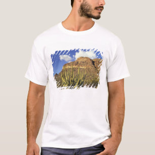 NA, USA, Arizona. Organ Pipe Cactus National 3 T-Shirt