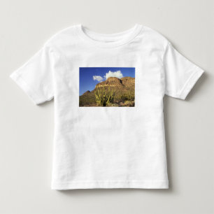 NA, USA, Arizona. Organ Pipe Cactus National 3 Toddler T-Shirt
