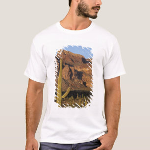 NA, USA, Arizona. Organ Pipe Cactus National T-Shirt
