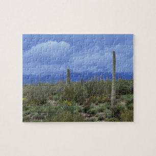 NA, USA, Arizona, Saguaro National Monument, Jigsaw Puzzle