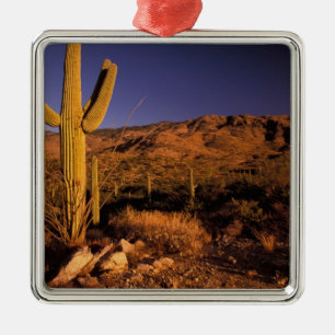 NA, USA, Arizona, Saguaro National Monument, Metal Ornament