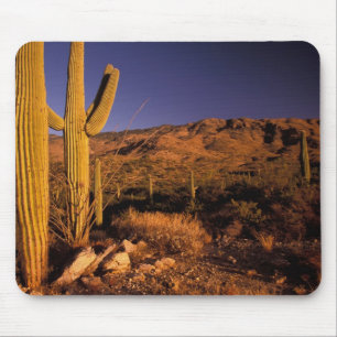 NA, USA, Arizona, Saguaro National Monument, Mouse Pad