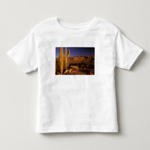 NA, USA, Arizona, Saguaro National Monument, Toddler T-Shirt