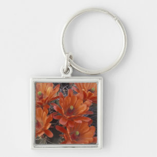 NA, USA, Arizona, San Xavier. Claret Cup cactus Key Ring