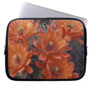 NA, USA, Arizona, San Xavier. Claret Cup cactus Laptop Sleeve