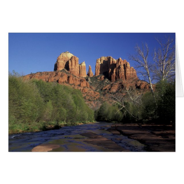 NA, USA, Arizona, Sedona. Cathedral Rock and Oak (Front Horizontal)