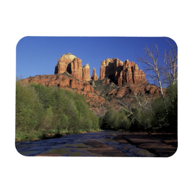 NA, USA, Arizona, Sedona. Cathedral Rock and Oak Magnet (Horizontal)