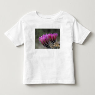 NA, USA, Arizona, Sonoran Desert. Hedgehog Toddler T-Shirt