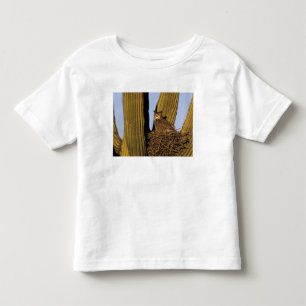 NA, USA, Arizona, Tucson. Great horned owl Toddler T-Shirt