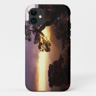 NA, USA, Arizona, Tucson, Sunset and lone iPhone 11 Case