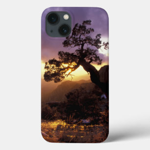 NA, USA, Arizona, Tucson, Sunset and lone iPhone 13 Case