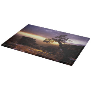 NA, USA, Arizona, Tucson, Sunset and lone Cutting Board