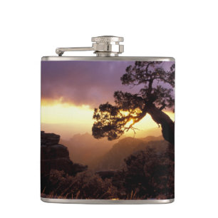 NA, USA, Arizona, Tucson, Sunset and lone Hip Flask