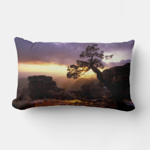 NA, USA, Arizona, Tucson, Sunset and lone Lumbar Cushion