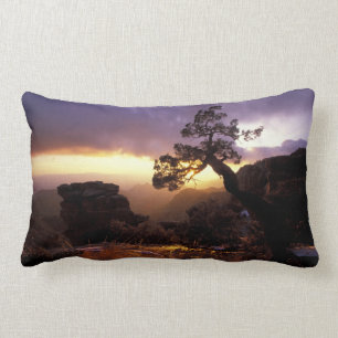 NA, USA, Arizona, Tucson, Sunset and lone Lumbar Cushion
