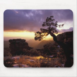 NA, USA, Arizona, Tucson, Sunset and lone Mouse Pad
