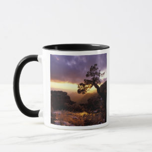 NA, USA, Arizona, Tucson, Sunset and lone Mug