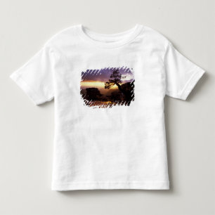 NA, USA, Arizona, Tucson, Sunset and lone Toddler T-Shirt