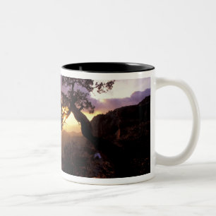 NA, USA, Arizona, Tucson, Sunset and lone Two-Tone Coffee Mug