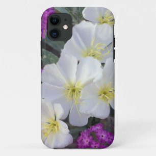 NA, USA, California, Anza Borrego Desert State iPhone 11 Case