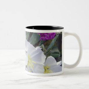 NA, USA, California, Anza Borrego Desert State Two-Tone Coffee Mug