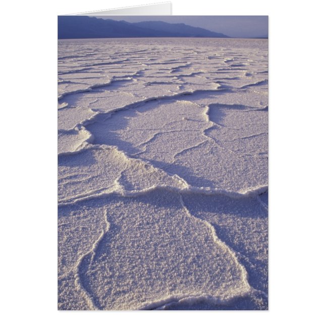 NA, USA, California. Death Valley National (Front)