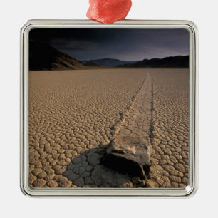 NA, USA, California, Death Valley National Metal Tree Decoration