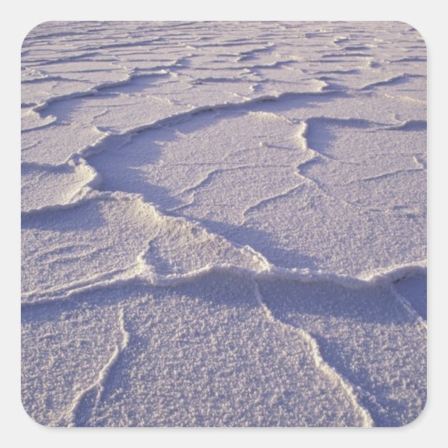 NA, USA, California. Death Valley National Square Sticker (Front)