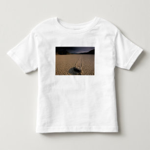 NA, USA, California, Death Valley National Toddler T-Shirt