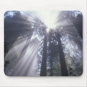 NA, USA, California. Del Norte Coast State 2 Mouse Pad