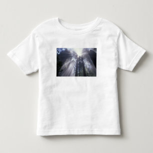 NA, USA, California. Del Norte Coast State 2 Toddler T-Shirt