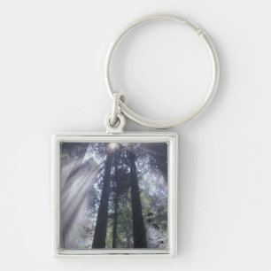 NA, USA, California. Del Norte Coast State Key Ring